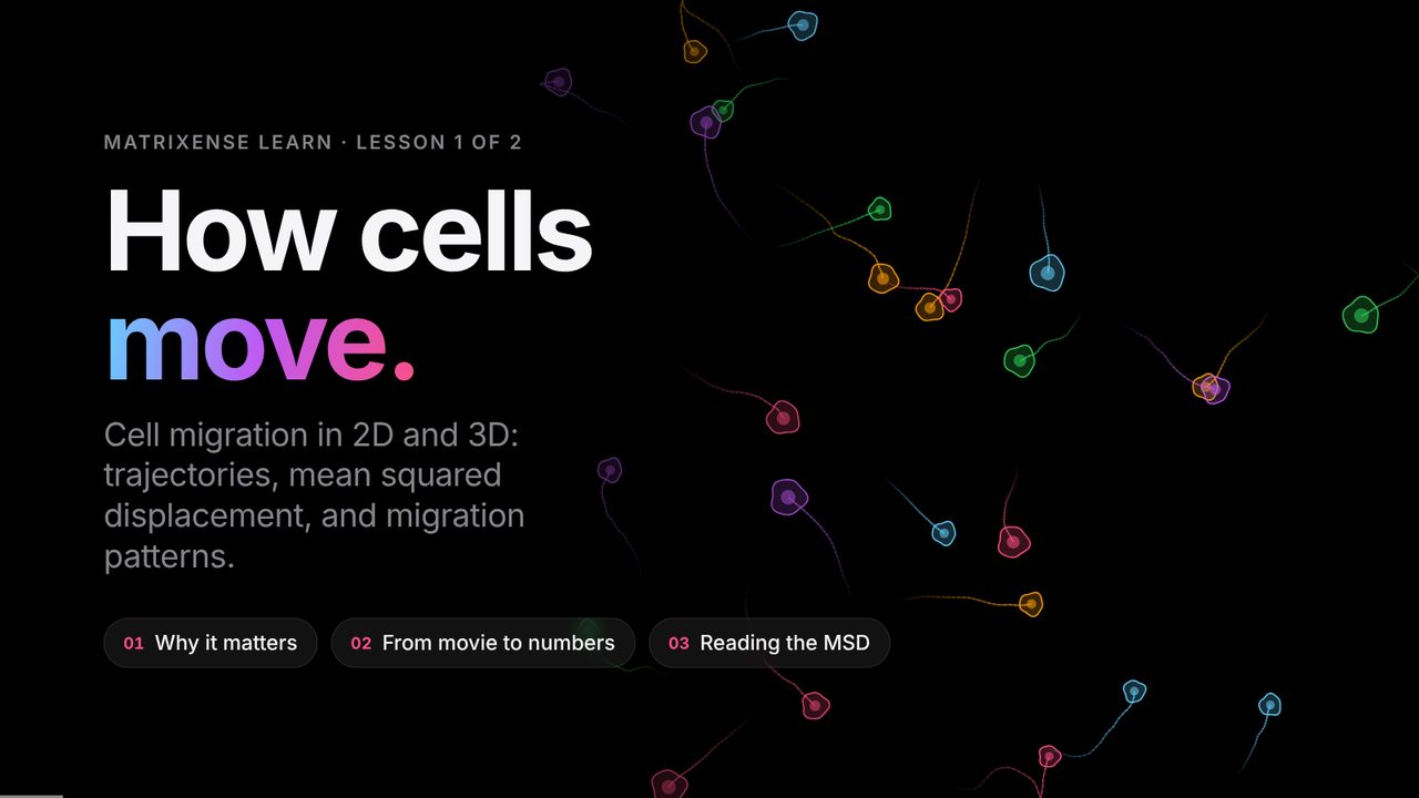 Title slide: How cells move, with coloured cell tracks