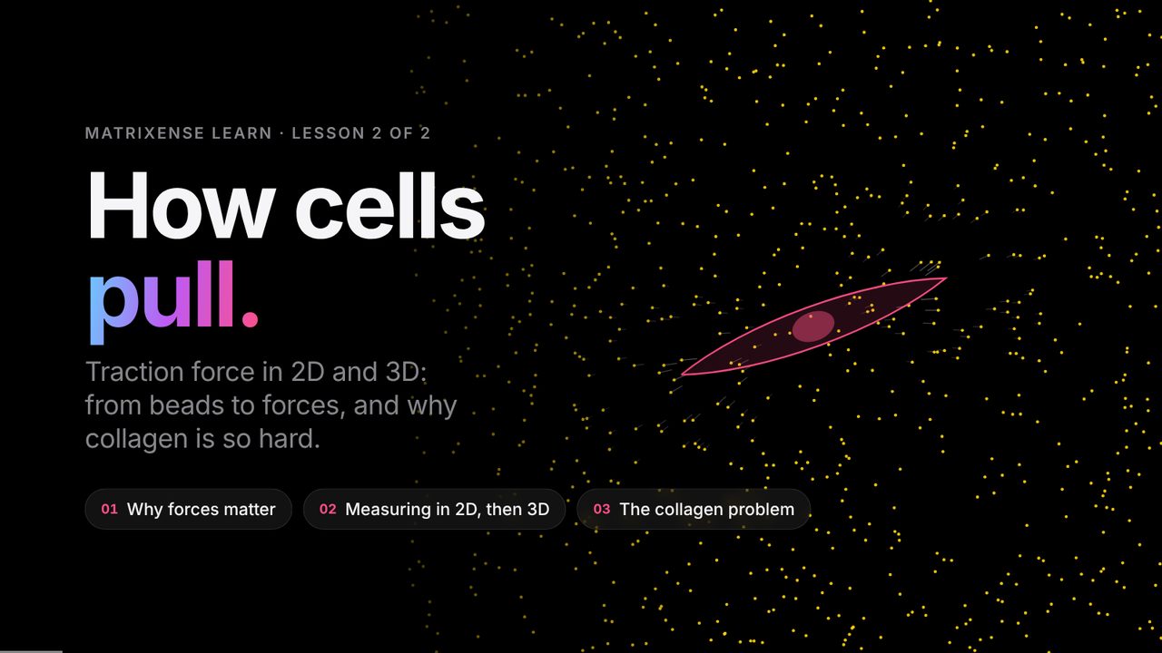 Title slide: How cells pull, with a cell among beads